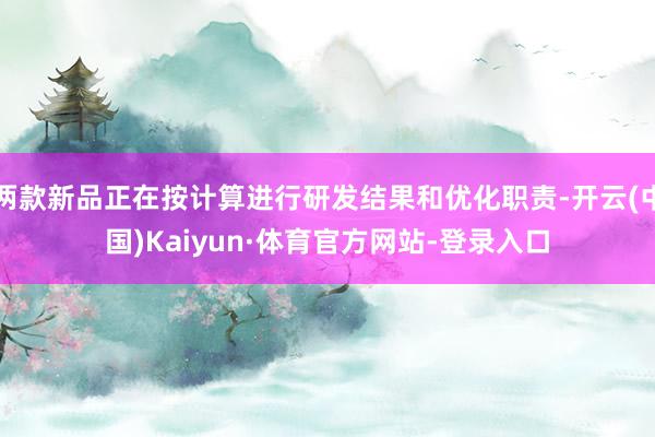 两款新品正在按计算进行研发结果和优化职责-开云(中国)Kaiyun·体育官方网站-登录入口